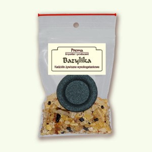 Wysokogatunkowe kadzidło żywiczne "BAZYLIKA" pakiet jednorazowy