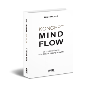 Koncept MindFlow