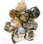 Opal Dendrytowy Surowy 