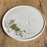 Podstawka gipsowa Zodiak Strzelec