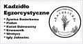 Kadzidło żywiczne Egzorcystyczne 250 g_.jpg